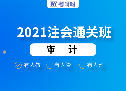 2021注会通关班（审计）