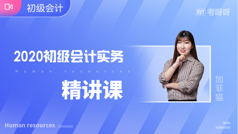 2020年《初级会计实务》精讲课~协议签约班专属课程