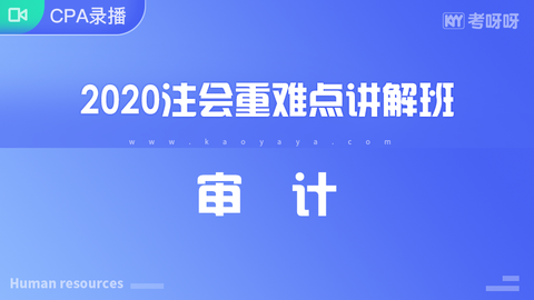 2020年注会重难点讲解班《审计》~协议签约班专属课程