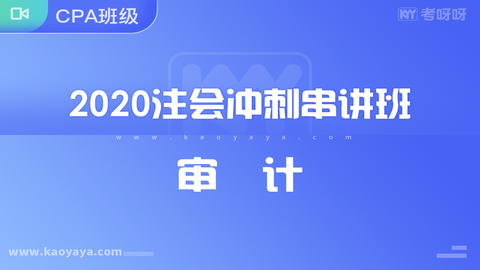 2020年注会冲刺串讲班《审计》