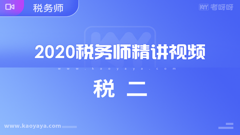 2020年税务师《税二》精讲视频