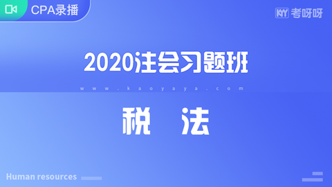 2020年注会习题班《税法》