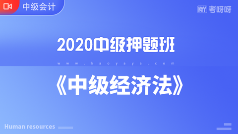 2020年中级押题班《中级经济法》