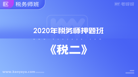 2020年税务师押题班《税二》