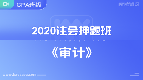 2020年注会押题班《审计》