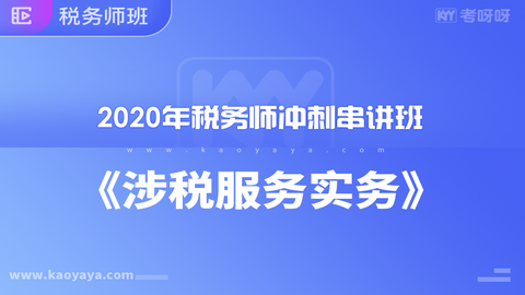 2020年税务师冲刺串讲班《涉税服务实务》