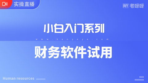 【小白入门系列】财务软件试用