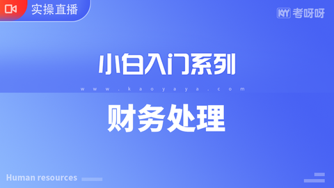 【小白入门系列】账务处理