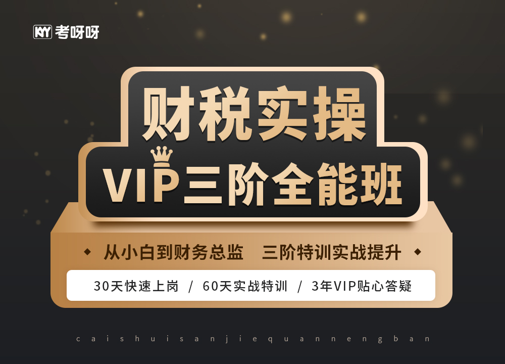 财税实操VIP三阶全能班（全阶段）