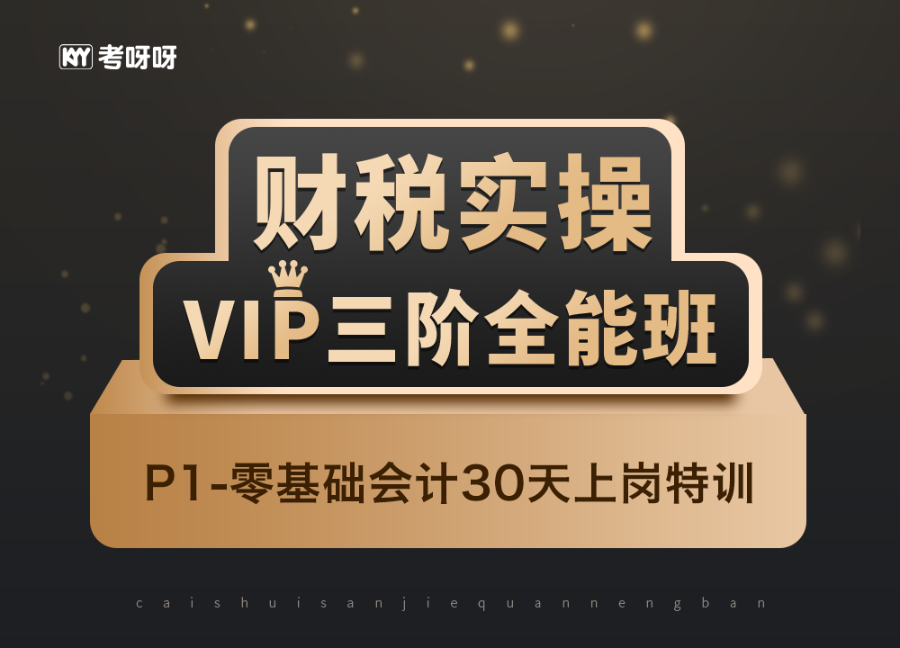 财税实操VIP三阶全能班（P1）