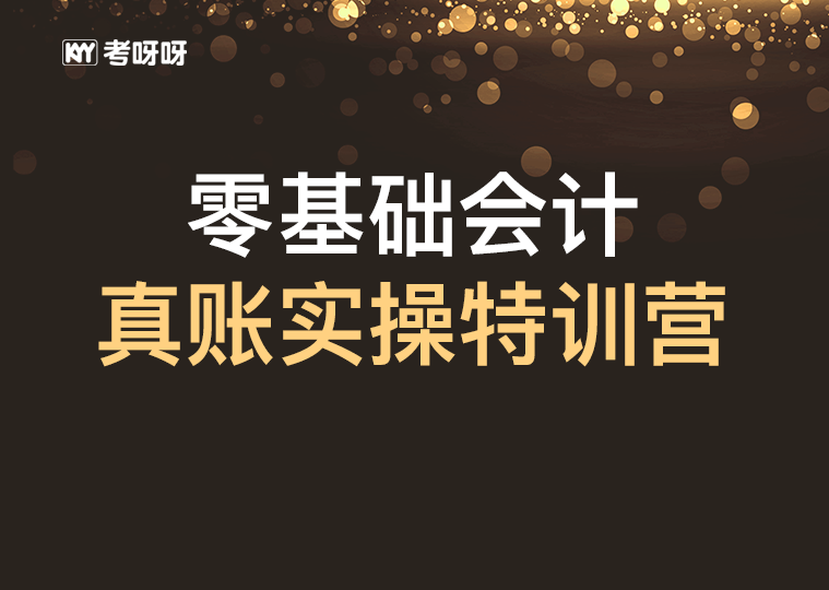 零基础会计真账实操特训营【内部开号专用】