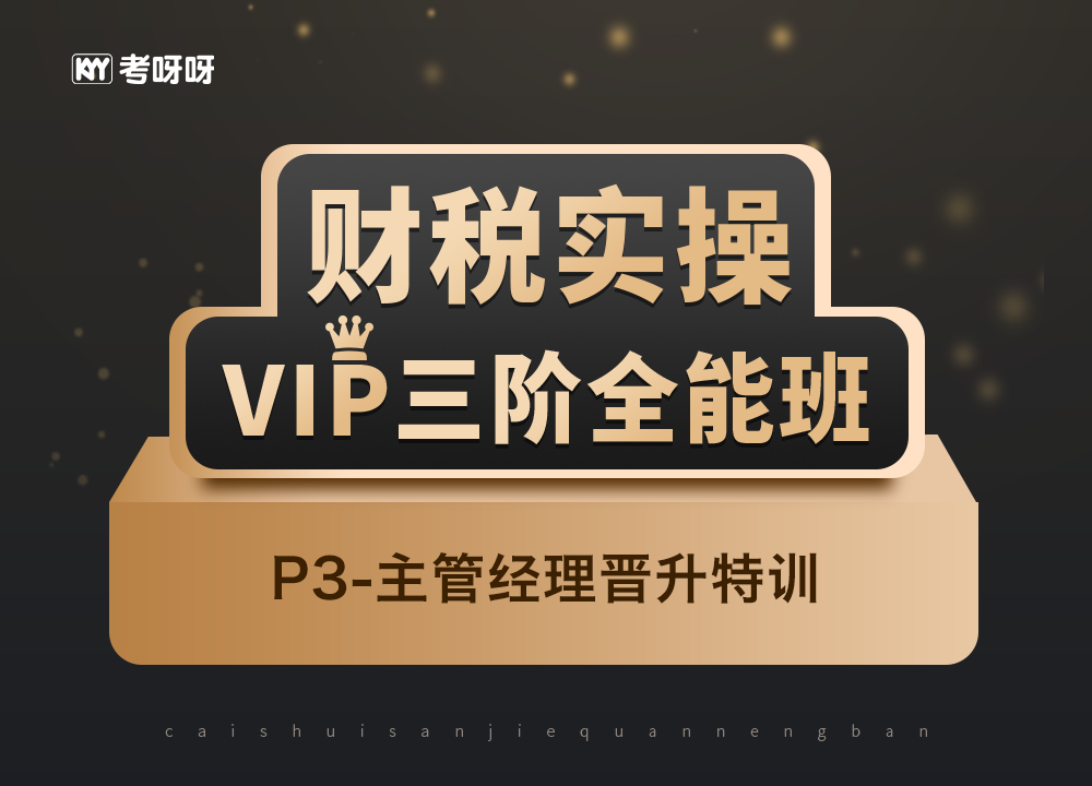 财税实操VIP三阶全能班（P3）【内部开号专用】