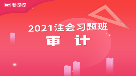 2021注会习题班《审计》