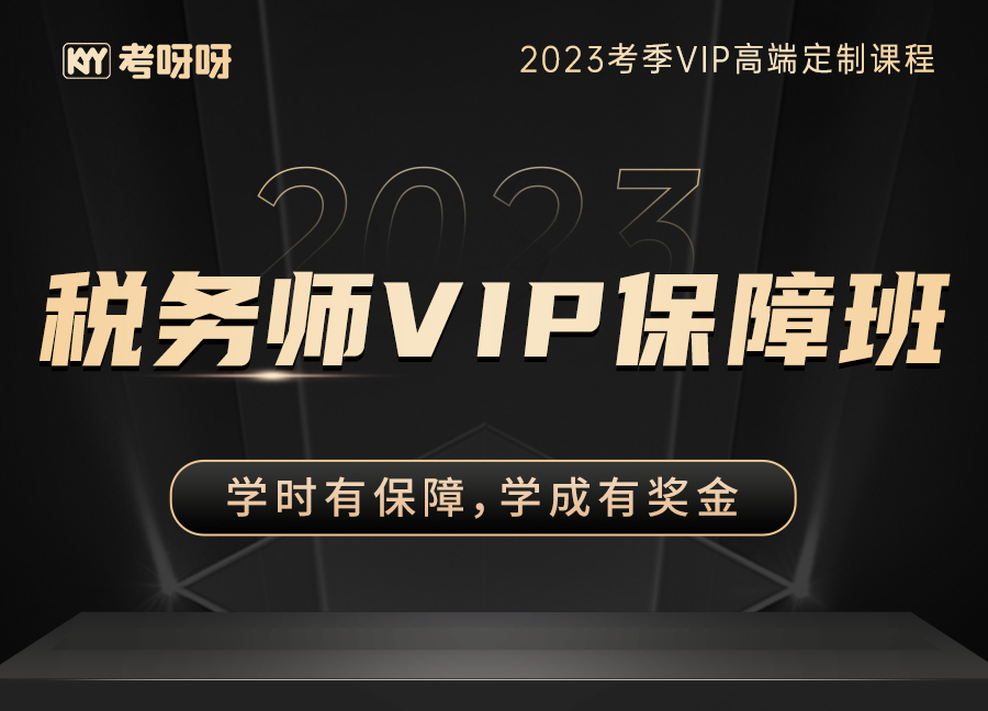 2023税务师VIP保障班·1期（涉税服务实务）