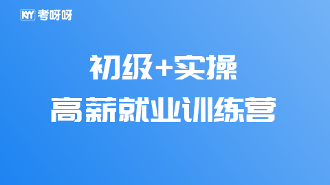 初级+实操高薪就业训练营