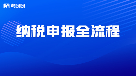 纳税申报全流程