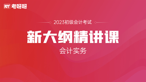 23年初级新大纲精讲课——会计实务