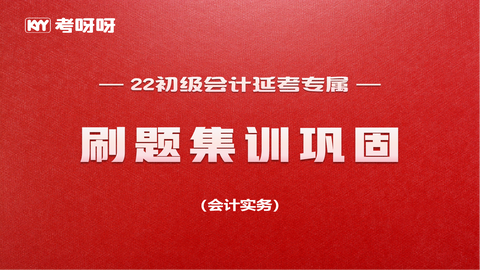 2022初级延考刷题集训巩固——会计实务