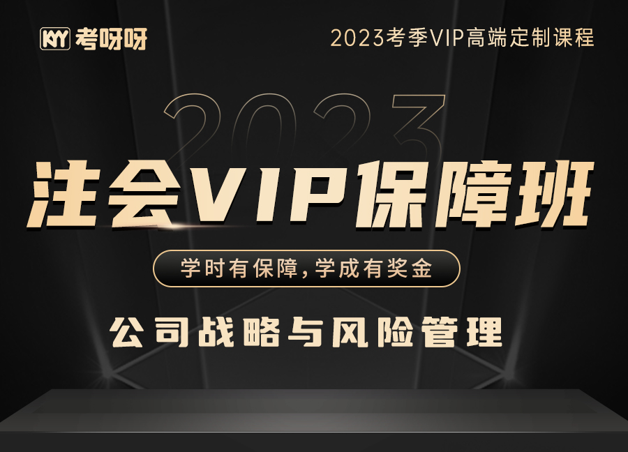 2023注会VIP保障班（战略）