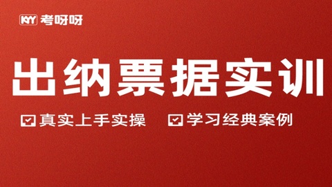 出纳票据实训