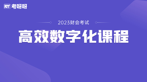 财会高效数字化课程