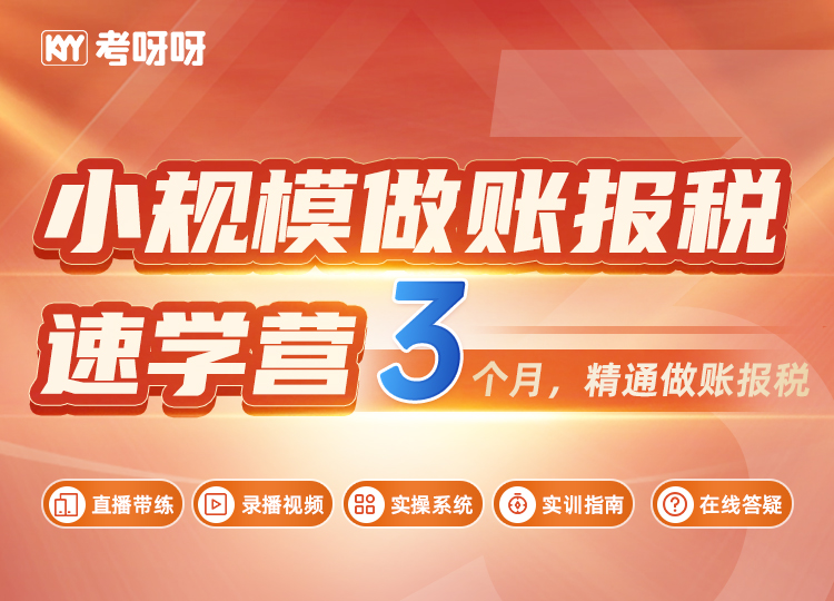 小规模做账报税速学营