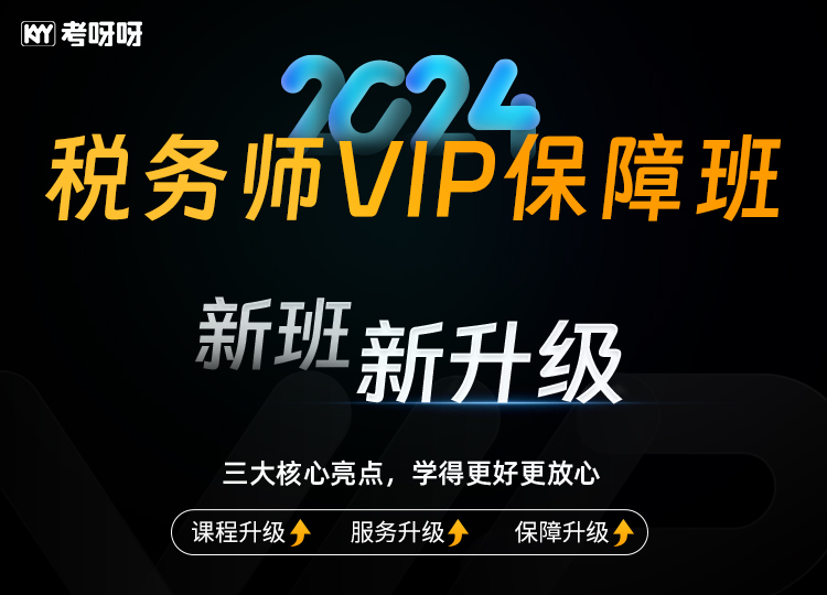 2024税务师VIP保障班（税法一）