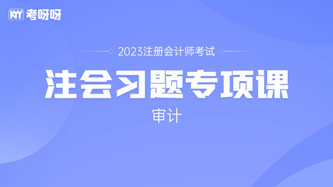 2023年注会习题专项课-审计