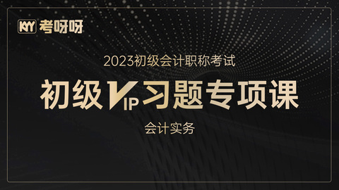 2023年初级VIP习题专项课—会计实务