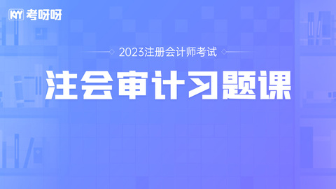 2023年注会审计习题课