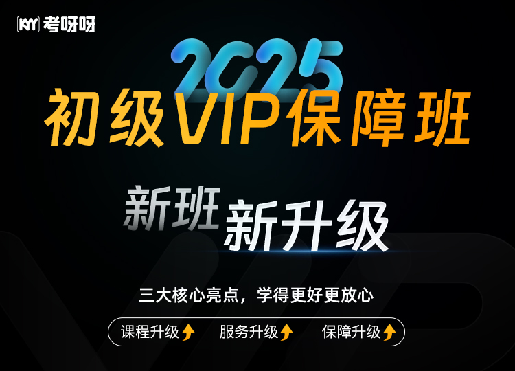 【开号限免】2025初级VIP定制班