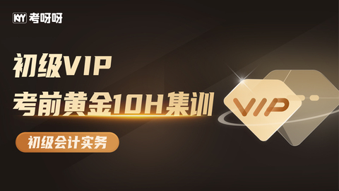 初级VIP考前“黄金10h集训”-初级会计实务