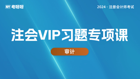 2024年注会VIP习题专项课-审计