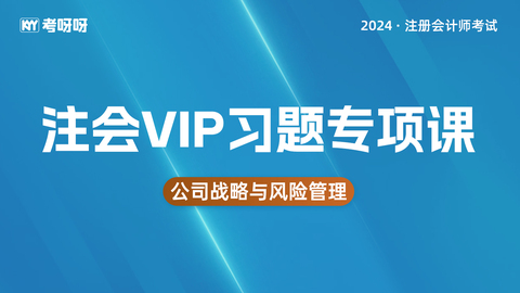 2024年注会VIP习题专项课-战略