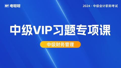 2024年中级VIP习题专项课-财务管理