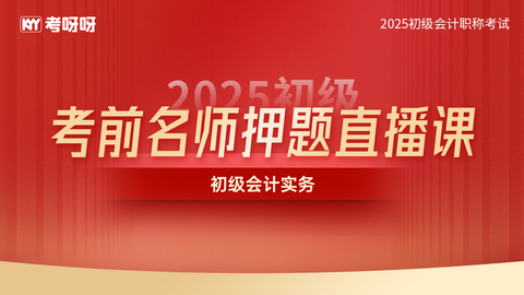 2025初级VIP押题直播课—会计实务