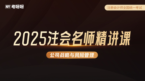 2025注会名师精讲课-公司战略与风险管理