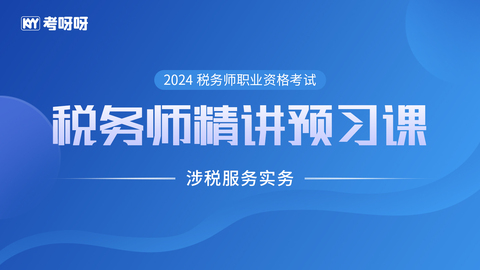 2024税务师精讲预习课——涉税服务实务