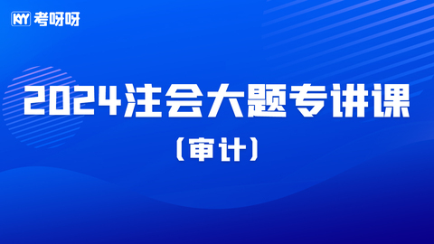 24注会大题专项课-审计