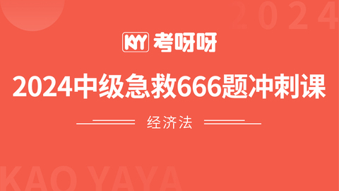 2024中级急救666题冲刺课-经济法