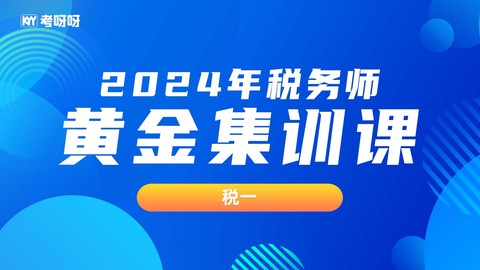 2024年税务师黄金集训课-税一