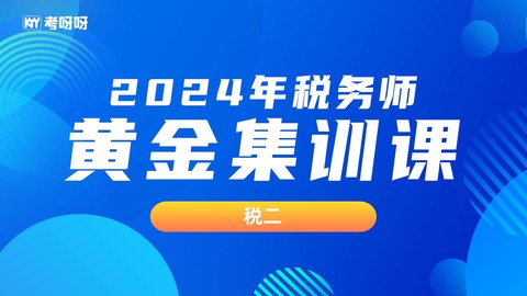 2024年税务师黄金集训课-税二