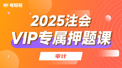 2025注会VIP专属押题课-审计