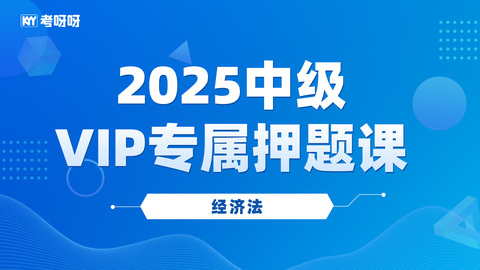 2025中级VIP专属押题课-经济法