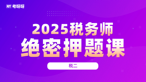 2025税务师绝密押题课-税二