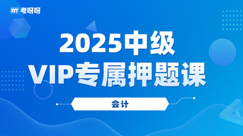 2025中级VIP专属押题课-会计