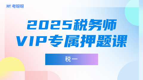 2025税务师VIP专属押题课-税一