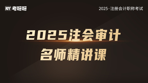 2025注会审计名师精讲课